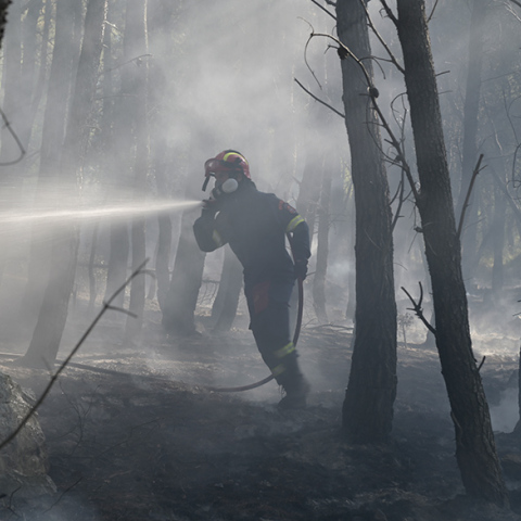 Πυροσβέστης