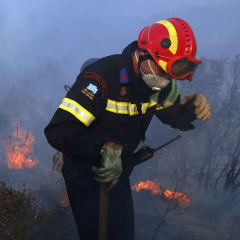 Πυροσβέστης επιχειρεί σε δασική πυρκαγιά