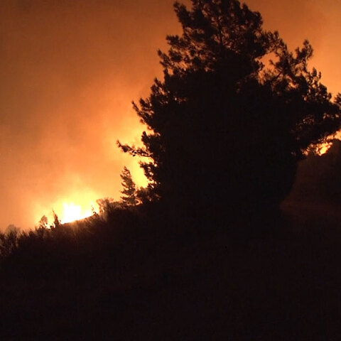 Ολονύχτια μάχη με τις φλόγες δίνουν οι πυροσβέστες στη δασική πυρκαγιά