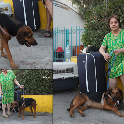 Το ζευγάρι με τον σκύλο τους που πέρασαν τη νύχτα στο λιμάνι του Πειραιά