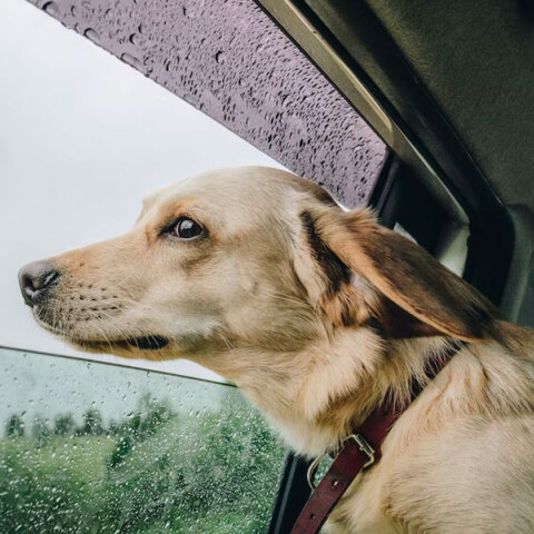 Βροχές έχει ο καιρός αύριο Κυριακή (14/8) σε πολλές περιοχές της χώρας