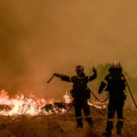 Πυροσβέστες σε δασική πυρκαγιά