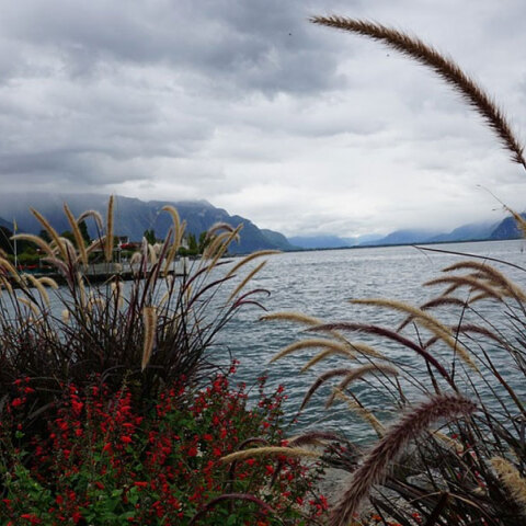 Λίμνη στην Ελβετία