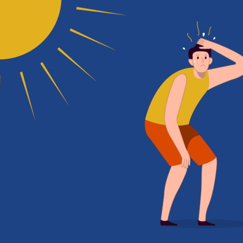 Θερμοπληξία και Καύσωνας