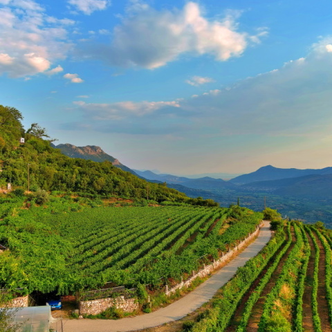 Θεσπρωτικό Πρέβεζας