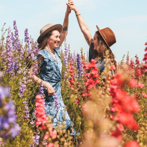 Αστρολογικές προβλέψεις