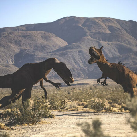 Δεινόσαυροι πάνω στη Γη