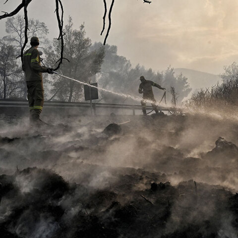 Πυροσβέστες επιχειρούν σε δασική πυρκαγιά