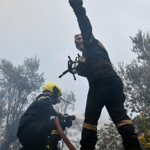 Πυροσβέστες σε δασική πυρκαγιά