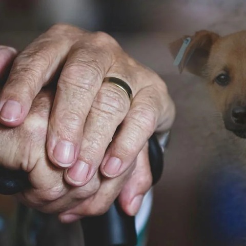 Υπερήλικη 101 ετών στον Βόλο νίκησε τον κορωνοϊό 