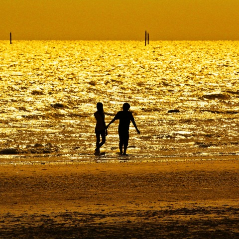 Τα Ζώδια της Κυριακής 28.08.2022: Οι ημερήσιες αστρολογικές προβλέψεις από τον Zarastro