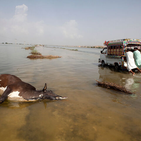 Πακιστάν: Το ένα τρίτο της χώρας κάτω από τα νερά – Στους 1.136 νεκροί από τις πλημμύρες