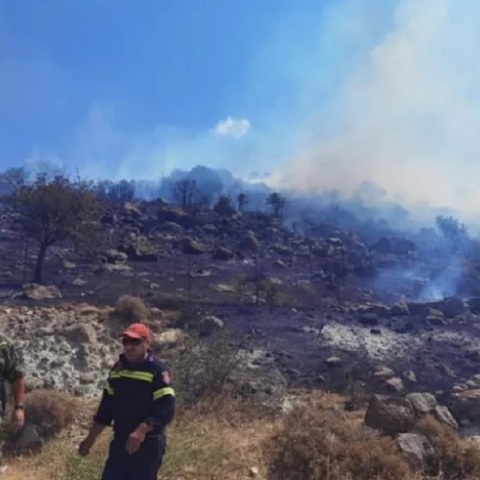 Πυρκαγιά στη Μυτιλήνη - Επιχειρεί η Πυροσβεστική για να μην απειληθεί δάσος