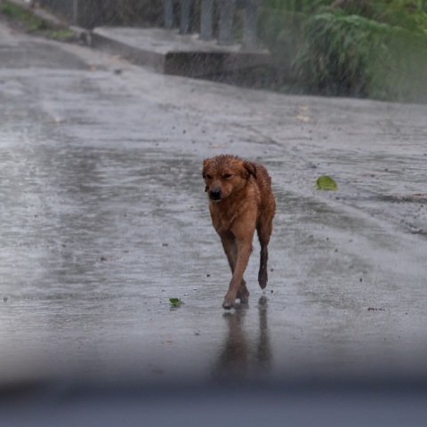 Ξεκίνησε η κακοκαιρία: Μήνυμα του 112 σε Θεσσαλονίκη και Θεσσαλία