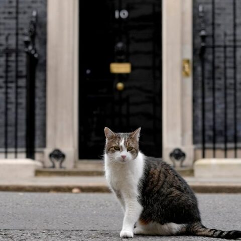  Λάρι, ο γάτος της Ντάουνινγκ Στριτ, 