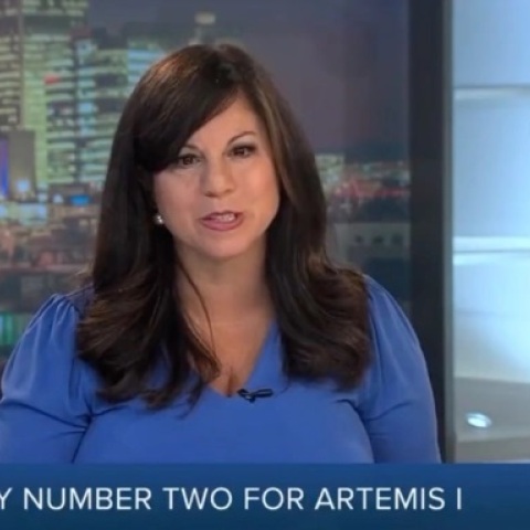 ΗΠΑ: Δημοσιογράφος παθαίνει εγκεφαλικό "στον αέρα"