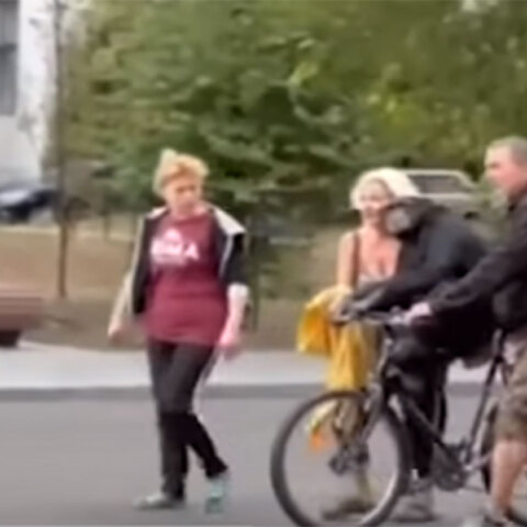 Χιμπατζής ξέφυγε από ζωολογικό κήπο και τον γύρισαν πίσω με ποδήλατο