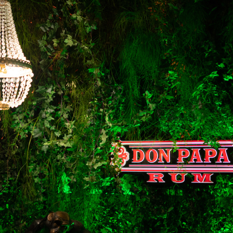 Μια Casa Sugarlandia βραδιά από το Don Papa Rum