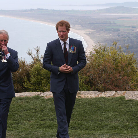 Ο βασιλιάς Κάρολος Γ' έκανε ξεχωριστή αναφορά στον πρίγκιπα Χάρι στο πρώτο του διάγγελμα