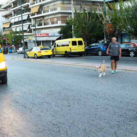 Έλεγχοι σε σχολικά λεωφορεία