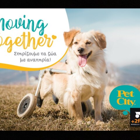 Τα Pet City στηρίζουν τα ζώα με αναπηρία