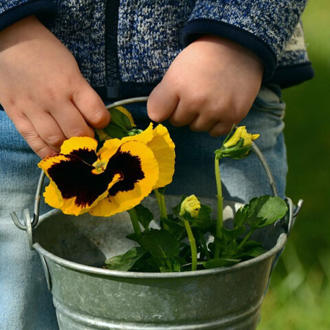 2χρονο αγόρι εξαφανίστηκε στη Χαλκιδική