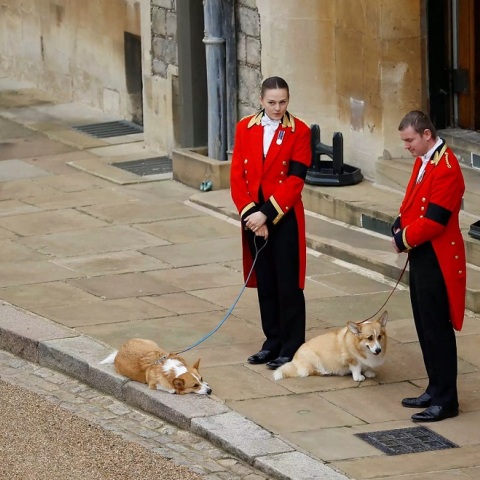Κηδεία βασίλισσας Ελισάβετ: Τα δύο αγαπημένα της κόργκι την περίμεναν στο Κάστρο του Γουίνσδορ