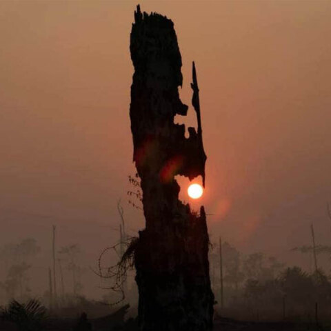 Ο ήλιος δύει σε καμένη γη στον Αμαζόνιο