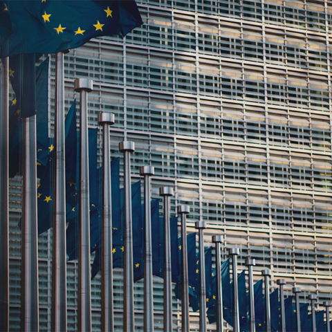 Σημαίες της Ευρωπαϊκής Ένωσης