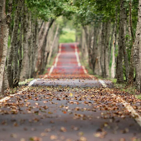 Λιγότερο από 24ωρο για τη φθινοπωρινή ισημερία