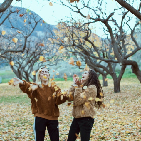 Αστρολογικές προβλέψεις