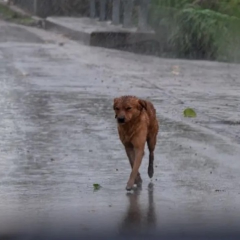 Έκτακτο δελτίο επιδείνωσης του καιρού για την Κρήτη