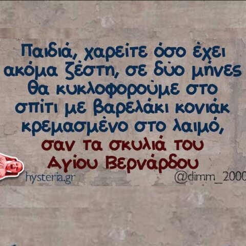 Αστεία memes, ατάκες, YOLO βίντεο, viral, αστεία video στο TikTok που ανέβηκαν στο διαδίκτυο και μας έκαναν να γελάσουμε.