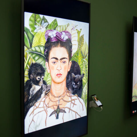 Ποινική έρευνα σε βάρος επιχειρηματία – Λέει ότι έκαψε σκίτσο της Φρίντα Κάλο αξίας 10 εκατ. δολαρίων