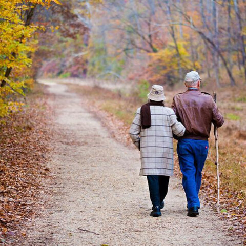 Η Παγκόσμια Ημέρα Ηλικιωμένων γιορτάζεται κάθε χρόνο την 1η Οκτωβρίου