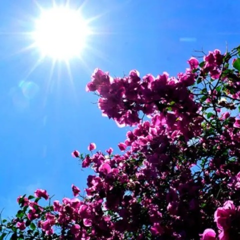 Καλοκαιρινές οι θερμοκρασίες σήμερα - Έφτασε τους 38 βαθμούς