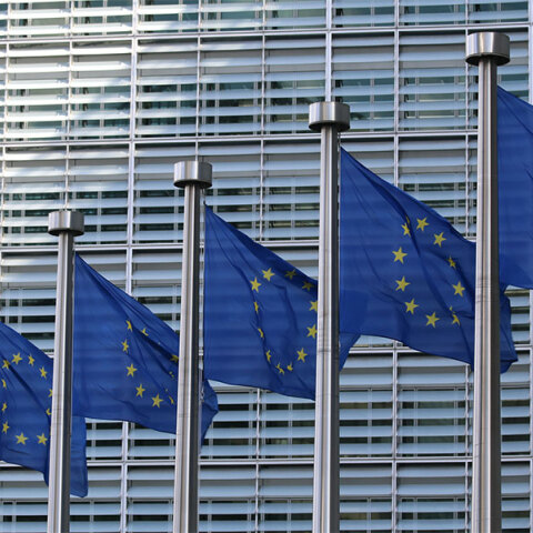 Σημαίες Ευρωπαϊκής Ένωσης