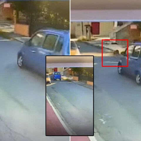 Καρέ καρέ η παράσυρση σκύλου από οδηγό αυτοκινήτου στη Θεσσαλονίκη