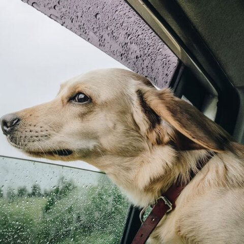 Βροχές σε περιοχές της χώρας δίνει η πρόγνωση καιρού της ΕΜΥ για σήμερα Δευτέρα (3/10)