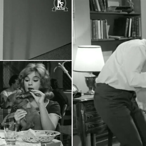 Η Finos Film τιμά την Παγκόσμια Ημέρα των Ζώων