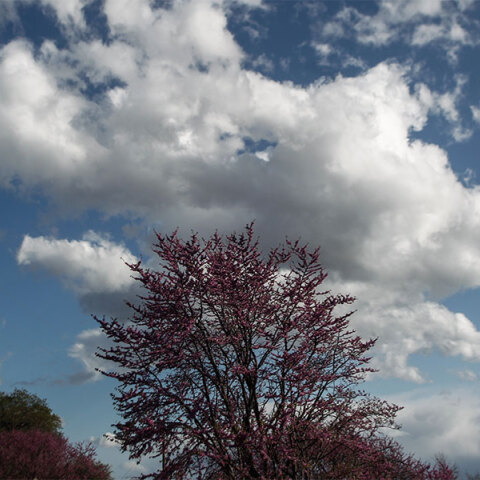 Συννεφιασμένος ουρανός