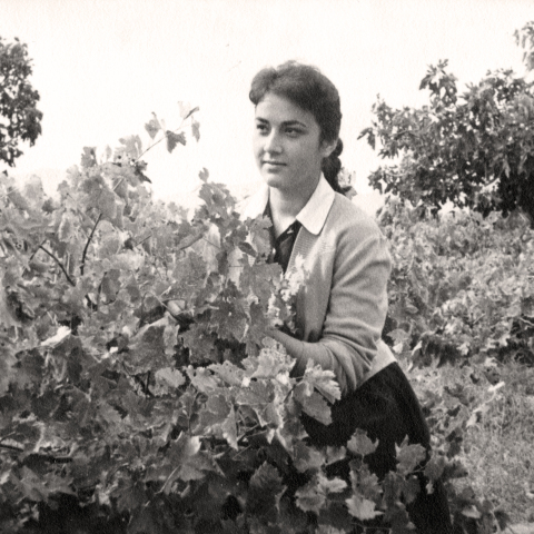 Όταν πεθαίνει η μαμά. Το πένθος και η απώλεια