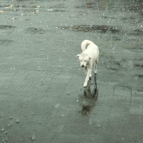 Βροχές από το βράδυ της Πέμπτης (13/10) σε περιοχές της χώρας