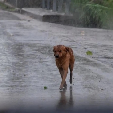  Μήνυμα 112 σε περιοχές της Δυτικής Ελλάδας λόγω έκτακτων καιρικών φαινομένων