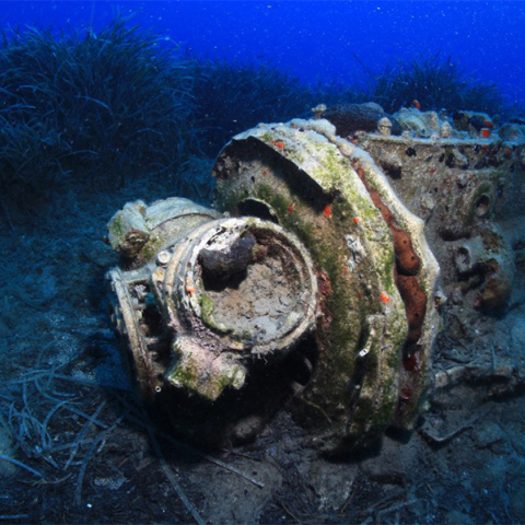 Στο στροφείο διακρίνεται ακόμη και σήμερα υπολείμματα ξύλου από τους τρεις έλικες που είχε το Stuka