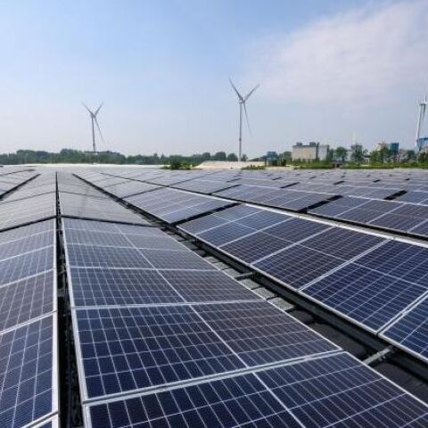 Σημαντική αποκλιμάκωση της τιμής του ρεύματος για σήμερα- Στα 199,91 ευρώ η μεγαβατώρα, έναντι 278,85 την περασμένη Δευτέρα	