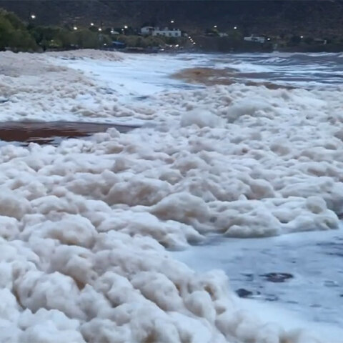 Θάλασσα - αφρός