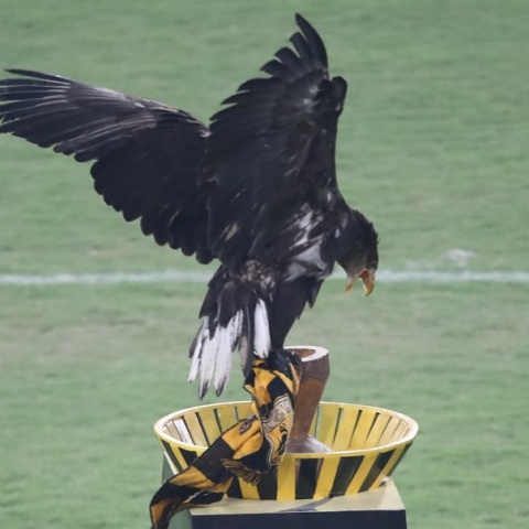 Κάθετα αντίθετος με τον αετό στο νέο γήπεδο της ΑΕΚ ο Καφετζόπουλος