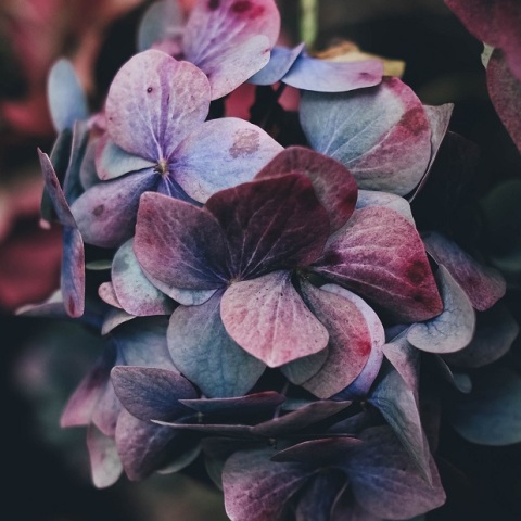 Εορτολόγιο: Σήμερα 21 Οκτωβρίου γιορτάζει…