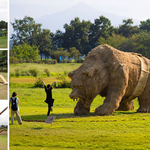 Εντυπωσιακά γλυπτά από άχυρο στο Wara Art Festival της Ιαπωνίας